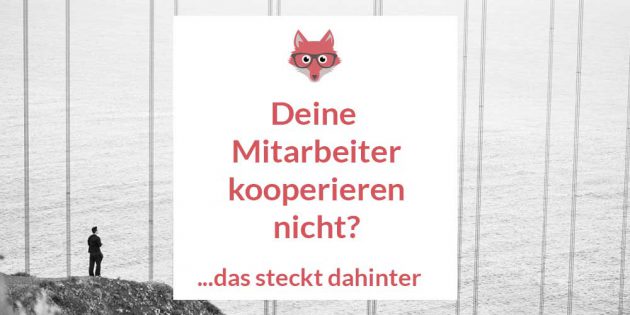 Mitarbeiter kooperiert nicht - wieso?